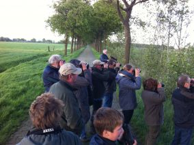 excursie Fochteloerveen