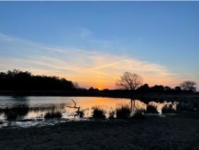 Natuur is geen Park