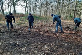 Natuerferiening Bakkefean helpt de insecten!